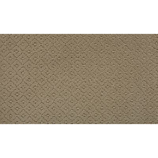 Remarkable Elegance - Coachman Remarkable Elegance - Coachman