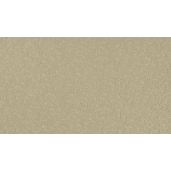 Exceptional Beauty - Delta Exceptional Beauty - Delta