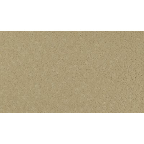 Exceptional Beauty - Outrigger Exceptional Beauty - Outrigger