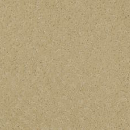 Exceptional Beauty - Earthen