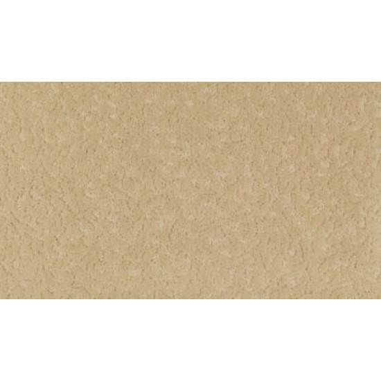 Exceptional Beauty - Twig Exceptional Beauty - Twig