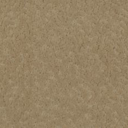 Exceptional Beauty - Natural Linen