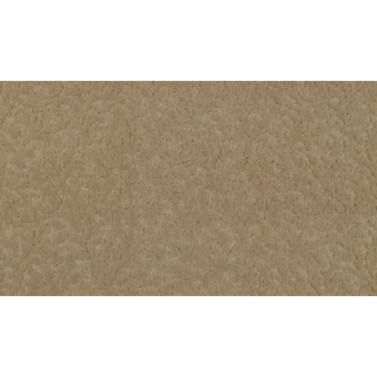 Exceptional Beauty - Natural Linen Exceptional Beauty - Natural Linen