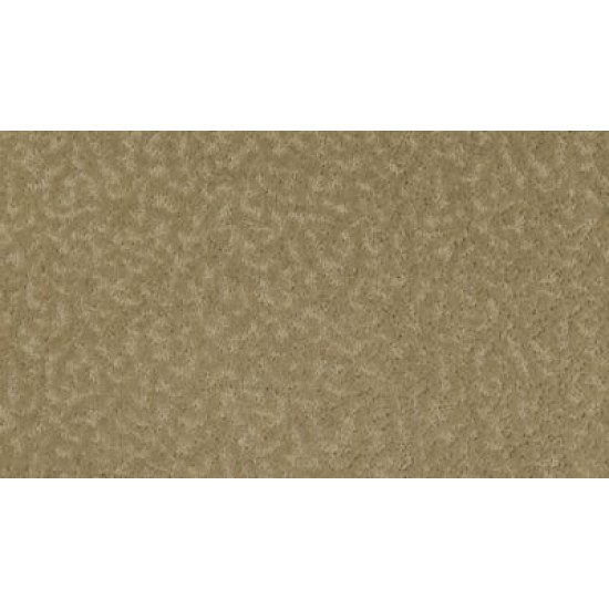Exceptional Beauty - Coachman Exceptional Beauty - Coachman