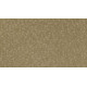 Exceptional Beauty - Coachman Exceptional Beauty - Coachman
