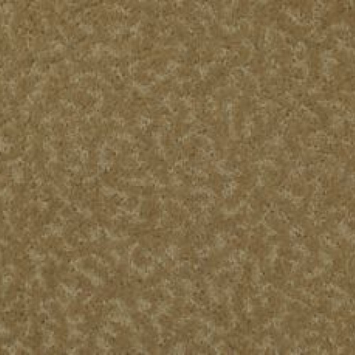 Exceptional Beauty - Sandalwood