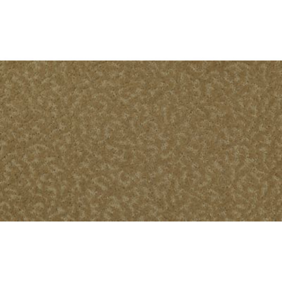 Exceptional Beauty - Sandalwood Exceptional Beauty - Sandalwood