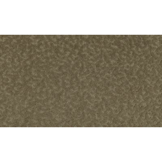 Exceptional Beauty - Villa Exceptional Beauty - Villa