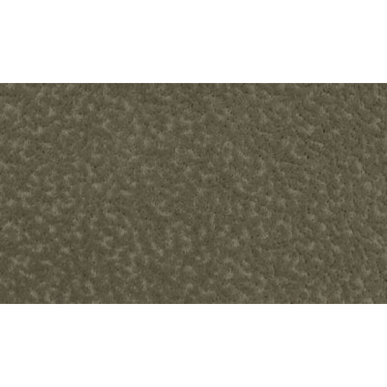 Exceptional Beauty - Livingston Exceptional Beauty - Livingston