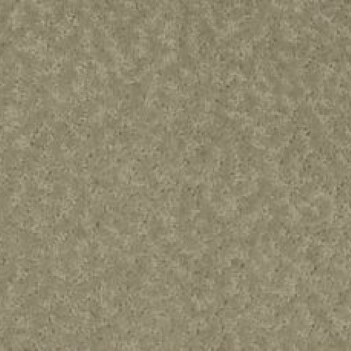 Exceptional Beauty - Parador Stone