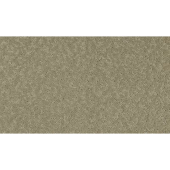 Exceptional Beauty - Parador Stone Exceptional Beauty - Parador Stone