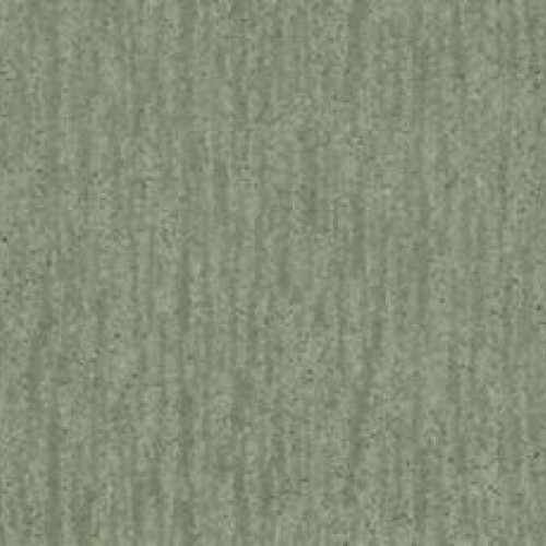 Natural Detail - Aspen