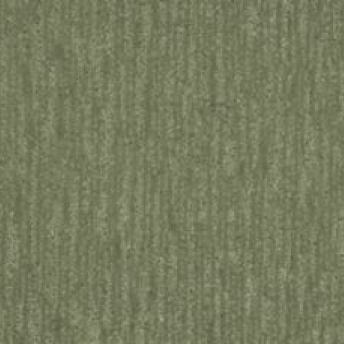 Natural Detail - Tropical