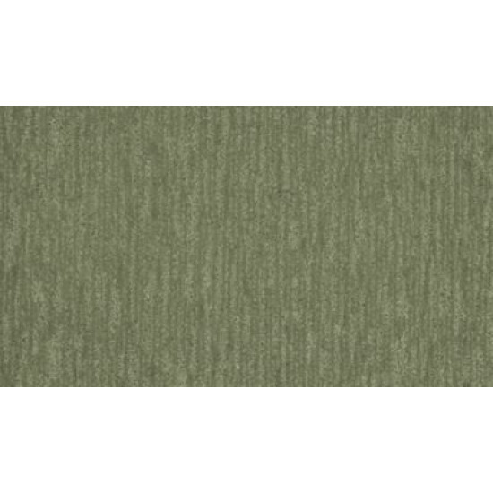 Natural Detail - Tropical Natural Detail - Tropical