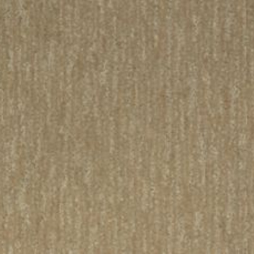 Natural Detail - Timberline