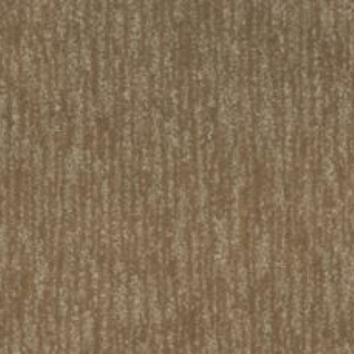 Natural Detail - Desert