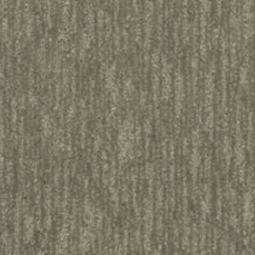 Natural Detail - Thunderdome