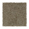 Polished Shades II - Outback