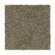 Polished Shades II - Outback Polished Shades II - Outback