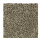 Polished Shades II - Safari