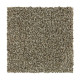 Polished Shades II - Safari Polished Shades II - Safari