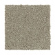 Polished Shades II - Coastal Polished Shades II - Coastal