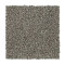 Polished Shades II - Turtledove