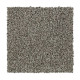 Polished Shades II - Turtledove Polished Shades II - Turtledove