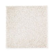 Exquisite Shades - Nutria Exquisite Shades - Nutria