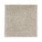 Exquisite Shades - Tweed