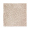 Exquisite Shades - Chalk Box