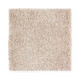 Exquisite Shades - Chalk Box Exquisite Shades - Chalk Box