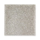 Exquisite Shades - Driftwood Exquisite Shades - Driftwood