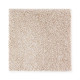 Exquisite Shades - Early American Exquisite Shades - Early American
