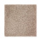 Exquisite Shades - Palisade