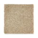 Exquisite Shades - Pinecone Exquisite Shades - Pinecone