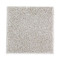 Exquisite Shades - Kettle