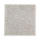 Exquisite Shades - Kettle Exquisite Shades - Kettle