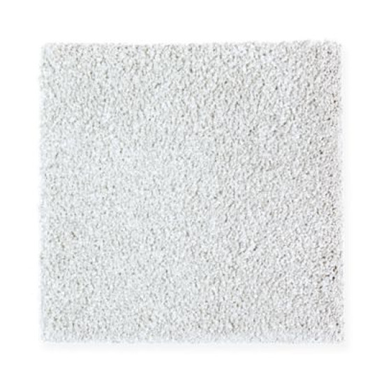 Exquisite Shades - Inertia Exquisite Shades - Inertia