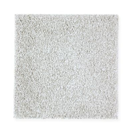 Exquisite Shades - Sidewalk Exquisite Shades - Sidewalk