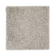 Exquisite Shades - Chariot Exquisite Shades - Chariot