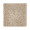Exquisite Tones - Allspice