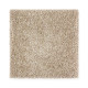 Exquisite Tones - Allspice Exquisite Tones - Allspice