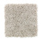 Perfect Attraction - Neutral Tint