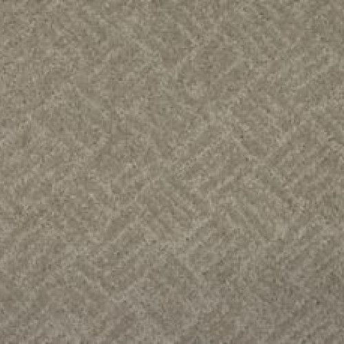Impressive Edge - Beechnut