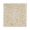 Exquisite Appeal - Palomino