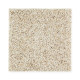 Exquisite Appeal - Palomino Exquisite Appeal - Palomino