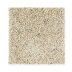 Exquisite Appeal - Atrium Exquisite Appeal - Atrium