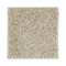 Exquisite Appeal - Riverstone