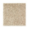 Exquisite Appeal - Country Twill